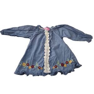 Goodlad Girls Size 2T Blue White Floral Embroidered Crochet Long Sleeve Dress